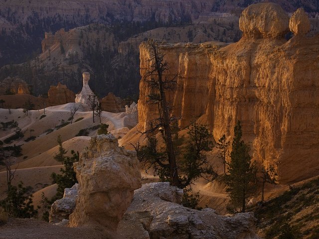 Обои горы, скалы, пейзаж, штат юта, брайс каньон национальный парк, mountains, rocks, landscape, utah, bryce canyon national park разрешение 1920x1393 Загрузить