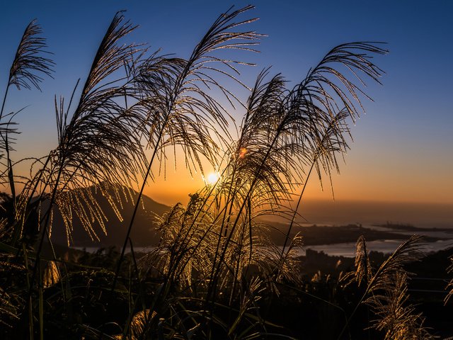 Обои небо, трава, вечер, солнце, закат, тучи, поле, луг, the sky, grass, the evening, the sun, sunset, clouds, field, meadow разрешение 2880x1800 Загрузить