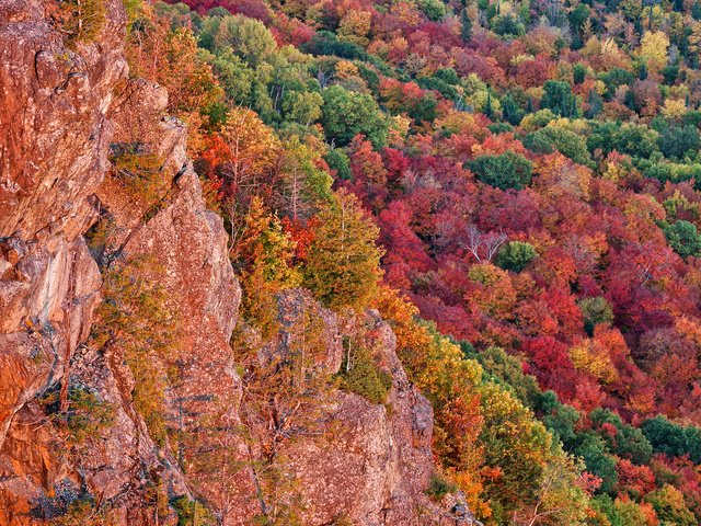 Обои деревья, скалы, лес, осень, сша, багрянец, мичиган, чиппева, trees, rocks, forest, autumn, usa, the crimson, michigan, chippewa разрешение 2048x1365 Загрузить