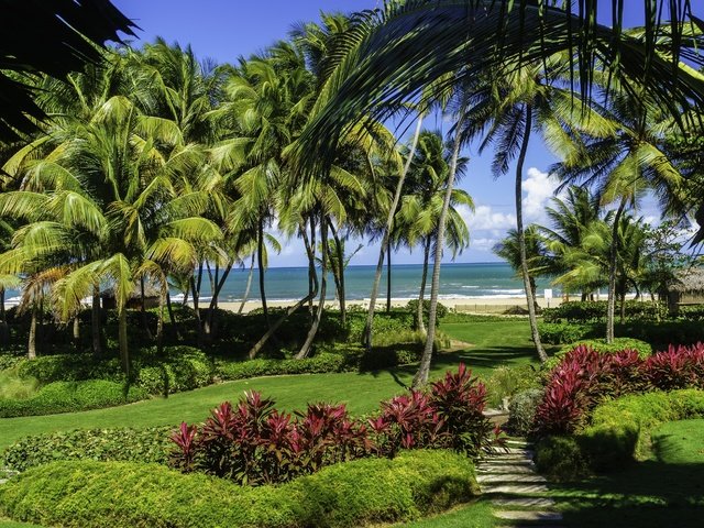 Обои пляж, пальмы, море.берег, сан-хуане, пуэрто-рико, beach, palm trees, sea.shore, san juan, puerto rico разрешение 2880x1959 Загрузить