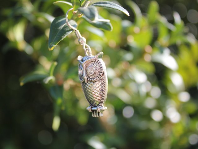 Обои сова, листья, кулон, owl, leaves, pendant разрешение 5184x3456 Загрузить