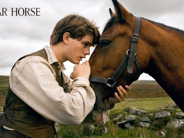 Обои фильм, боевой конь, джереми ирвин, the film, war horse, jeremy irvine разрешение 2560x1600 Загрузить