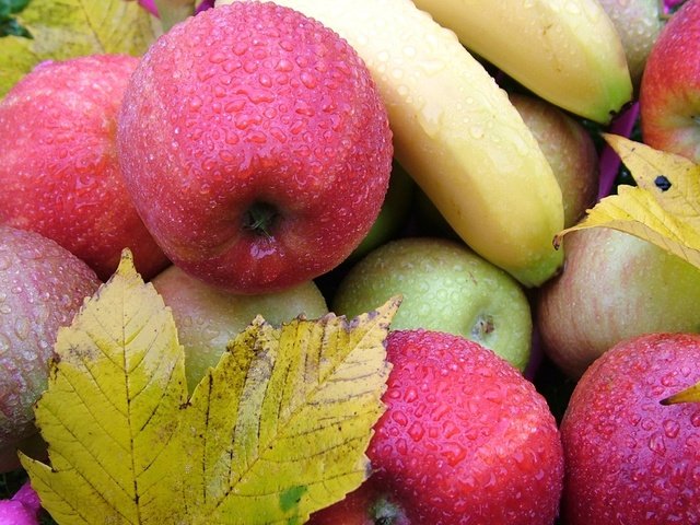 Обои листья, капли, фрукты, яблоки, бананы, leaves, drops, fruit, apples, bananas разрешение 1920x1242 Загрузить