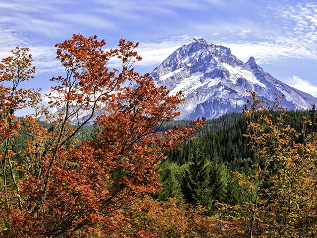 Обои деревья, горы, пейзаж, осень, trees, mountains, landscape, autumn разрешение 2000x1301 Загрузить