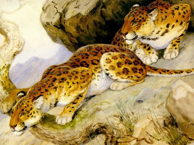 Обои арт, хищники, леопарды, живопись, georges-frederic rotig, art, predators, leopards, painting разрешение 2391x1970 Загрузить