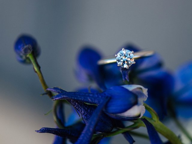 Обои цветы, лепестки, камень, кольцо, синие, обручальное, flowers, petals, stone, ring, blue, wedding разрешение 5224x3487 Загрузить