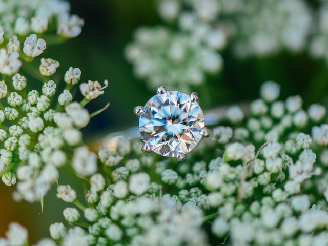 Обои цветы, камень, кольцо, обручальное, flowers, stone, ring, wedding разрешение 6016x4016 Загрузить