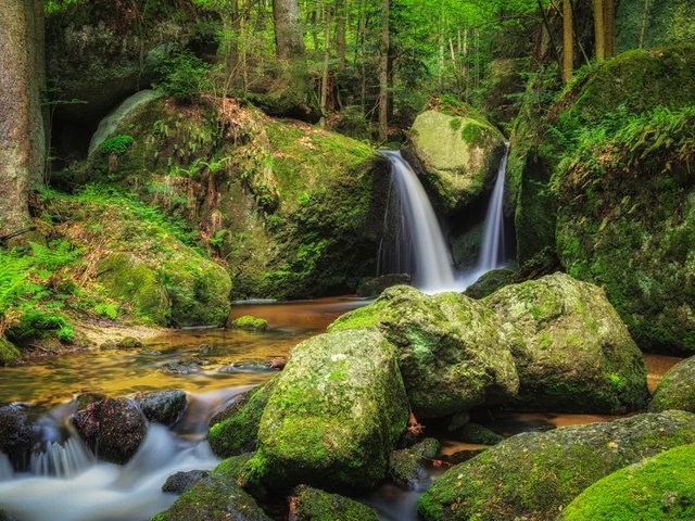 Обои вода, река, камни, лес, водопад, мох, water, river, stones, forest, waterfall, moss разрешение 3000x2000 Загрузить