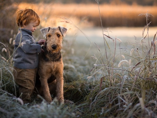 Обои собака, мальчик, друзья, dog, boy, friends разрешение 2047x1265 Загрузить