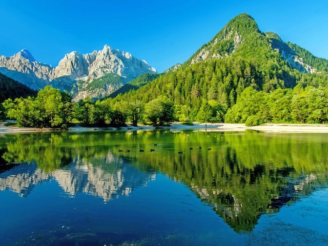 Обои горное озеро, деревь, ландшафт, валлпапер, mountain lake, trees, landscape, wallpaper разрешение 4100x2702 Загрузить