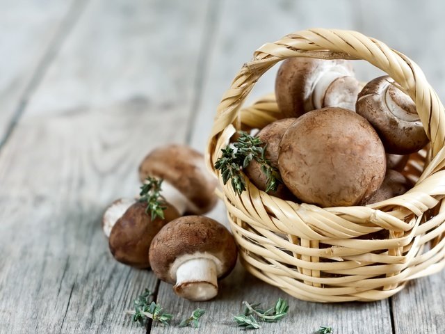 Обои грибы, корзинка, шампиньоны, портабелло, портобелло, mushrooms, basket, portabello, portobello разрешение 2700x1800 Загрузить