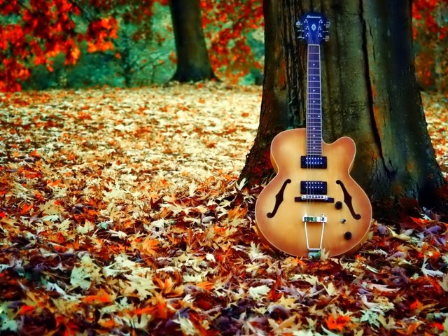 Обои дерево, листья, гитара, осень, листопад, tree, leaves, guitar, autumn, falling leaves разрешение 1920x1200 Загрузить