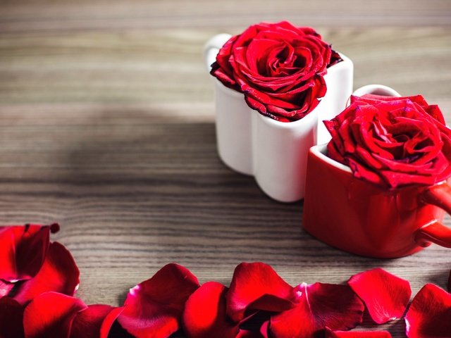 Обои цветы, розы, лепестки, flowers, roses, petals разрешение 2880x1800 Загрузить