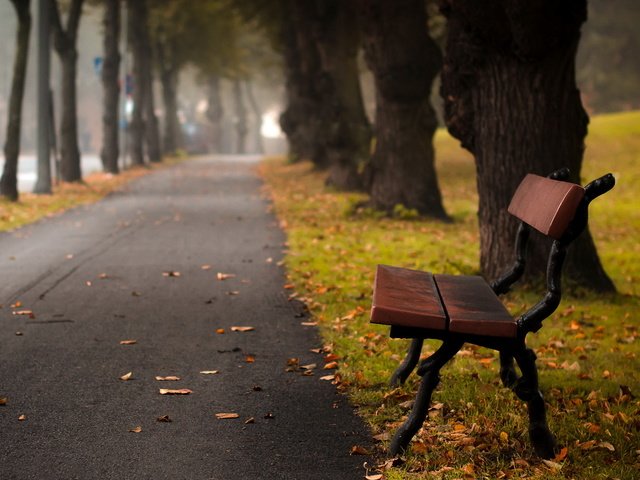 Обои парк, город, осень, аллея, autumn bench, park, the city, autumn, alley разрешение 1920x1200 Загрузить