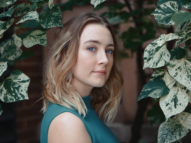 Обои листья, взгляд, актриса, сирша ронан, leaves, look, actress, saoirse ronan разрешение 2048x1152 Загрузить