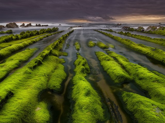 Обои скалы, камни, берег, море, водоросли, rocks, stones, shore, sea, algae разрешение 2048x1297 Загрузить