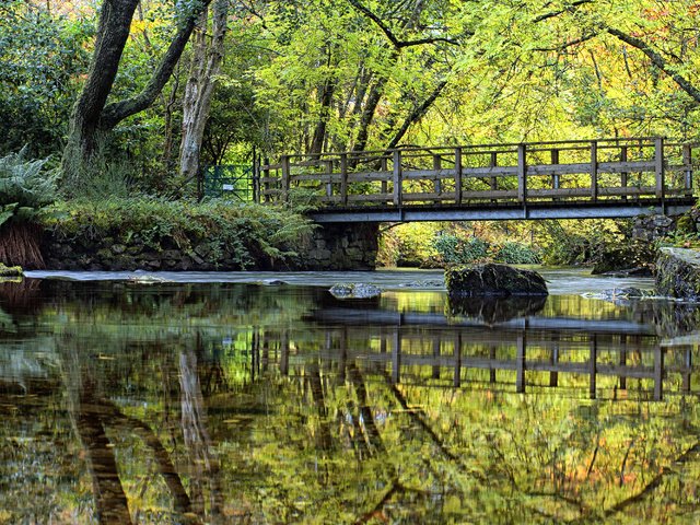 Обои деревья, шотландия, вода, river forth, река, камни, зелень, кусты, мост, мох, trees, scotland, water, river, stones, greens, the bushes, bridge, moss разрешение 3250x2000 Загрузить