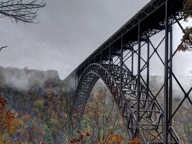 Обои деревья, лес, туман, мост, осень, trees, forest, fog, bridge, autumn разрешение 3840x2160 Загрузить