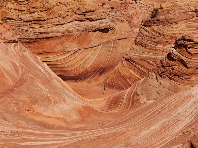 Обои каньон, сша, юта, национальный парк, койот баттс, canyon, usa, utah, national park, coyote butts разрешение 1920x1280 Загрузить