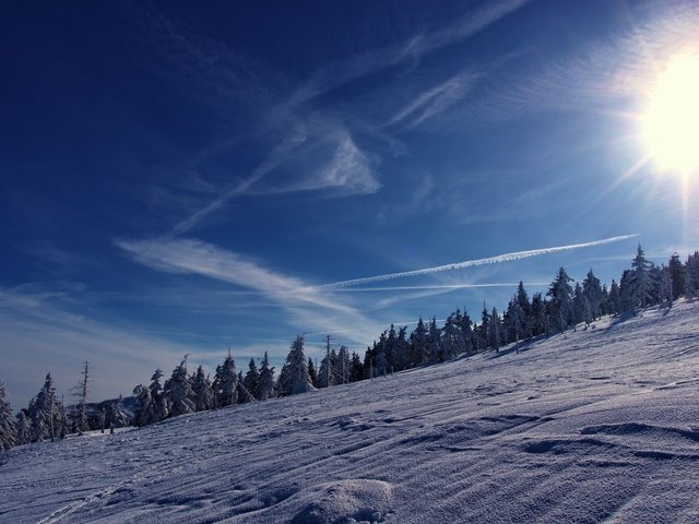 Обои небо, деревья, горы, солнце, снег, зима, the sky, trees, mountains, the sun, snow, winter разрешение 2560x1600 Загрузить