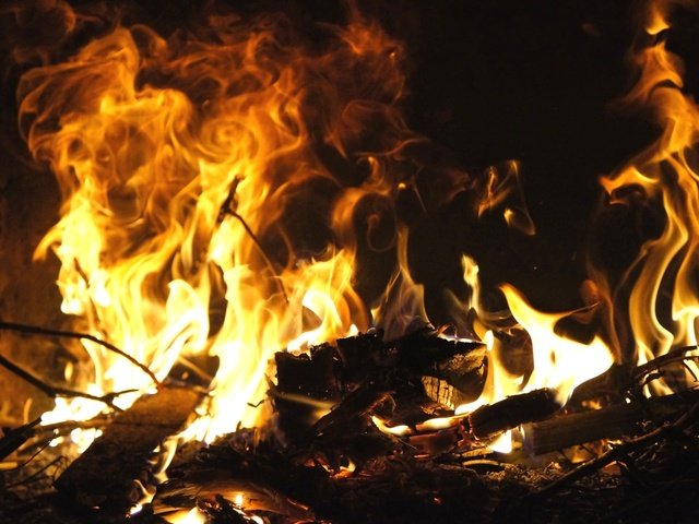 Обои пламя, ветки, огонь, костёр, flame, branches, fire, the fire разрешение 1920x1276 Загрузить