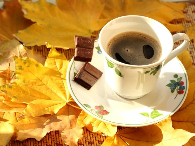 Обои листья, осень, кофе, чашка, клен, шоколад, кленовый лист, leaves, autumn, coffee, cup, maple, chocolate, maple leaf разрешение 3000x2000 Загрузить