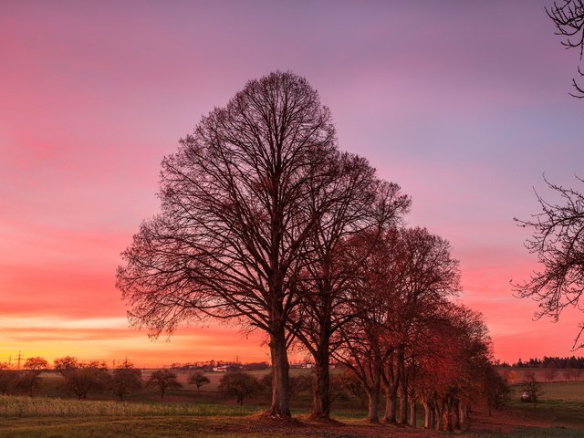 Обои деревья, природа, закат, trees, nature, sunset разрешение 2047x1269 Загрузить