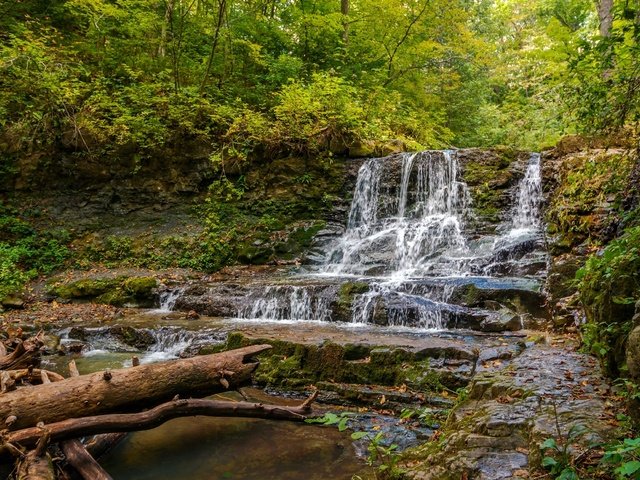 Обои деревья, вода, река, камни, лес, поток, берег реки, trees, water, river, stones, forest, stream, the river разрешение 2400x1540 Загрузить