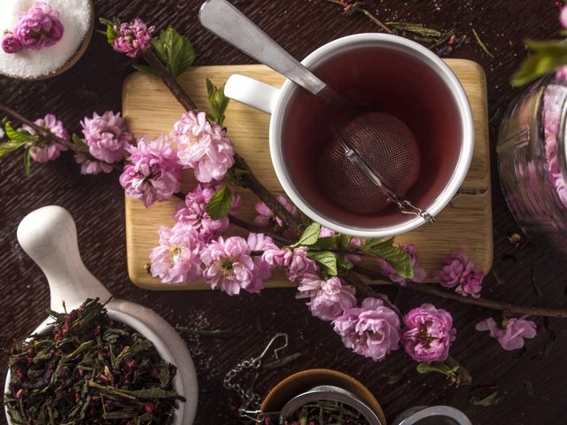 Обои сакура, чашка, чай, sakura, cup, tea разрешение 2400x1600 Загрузить