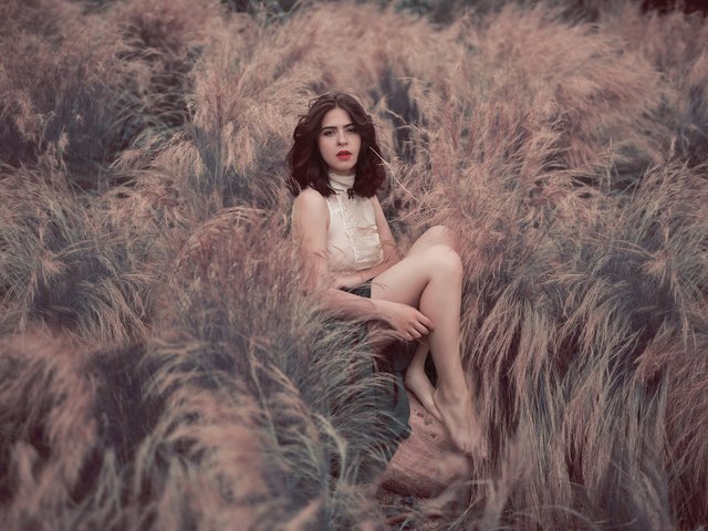 Обои девушка, поле, взгляд, ножки, лицо, ветер, girl, field, look, legs, face, the wind разрешение 2048x1365 Загрузить