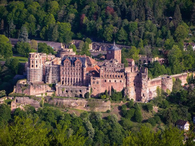 Обои деревья, лес, замок, вид сверху, германия, heidelberg castle, trees, forest, castle, the view from the top, germany разрешение 2048x1536 Загрузить