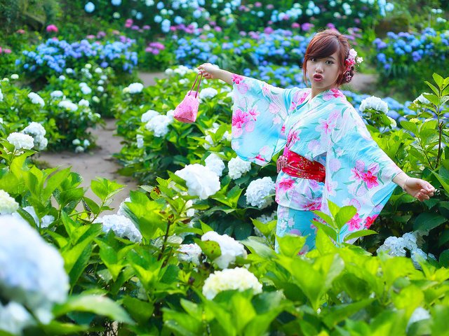 Обои цветы, девушка, губы, лицо, руки, кимоно, flowers, girl, lips, face, hands, kimono разрешение 2048x1365 Загрузить