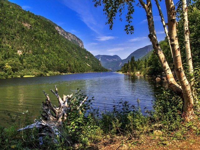 Обои трава, hautes-gorges-de-la-riviere-malbaie national, деревья, река, горы, камни, берег, лес, канада, grass, trees, river, mountains, stones, shore, forest, canada разрешение 2880x1933 Загрузить