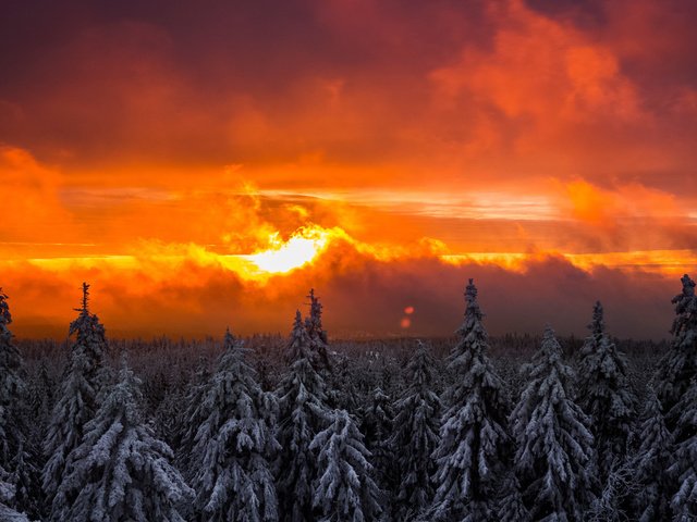 Обои снег, лес, закат, зима, ель, елки, snow, forest, sunset, winter, spruce, tree разрешение 1920x1080 Загрузить