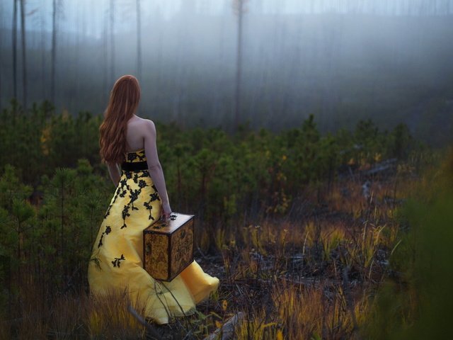 Обои лес, спина, девушка, волосы, настроение, печаль, платье, чемодан, туман, осень, рыжая, сосны, forest, back, girl, hair, mood, sadness, dress, suitcase, fog, autumn, red, pine разрешение 2048x1152 Загрузить