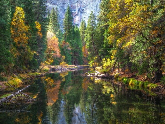 Обои река, природа, лес, осень, йосемитский национальный парк, merced river, river, nature, forest, autumn, yosemite national park разрешение 2560x1600 Загрузить