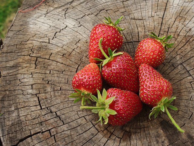 Обои природа, красная, клубника, ягоды, пень, nature, red, strawberry, berries, stump разрешение 2880x1920 Загрузить