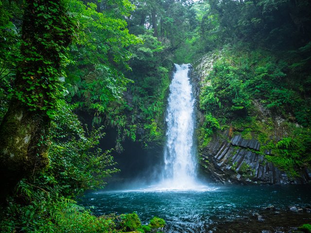 Обои природа, лес, водопад, япония, nature, forest, waterfall, japan разрешение 3840x2400 Загрузить