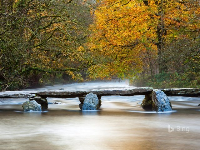 Обои река, природа, мостик, лес, осень, bing, river, nature, the bridge, forest, autumn разрешение 1920x1200 Загрузить