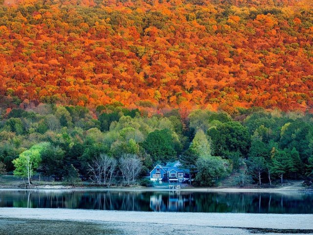 Обои лес, осень, дом, alabama in autumn, forest, autumn, house разрешение 2048x1365 Загрузить