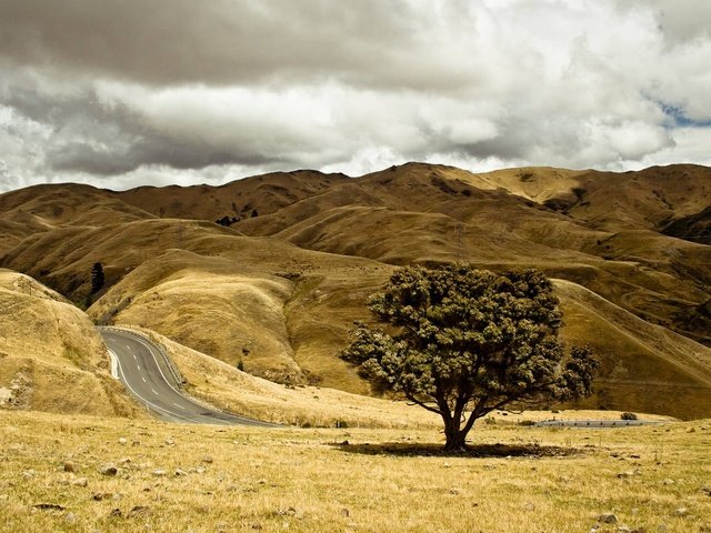 Обои небо, дорога, холмы, дерево, пейзаж, осень, the sky, road, hills, tree, landscape, autumn разрешение 2880x1800 Загрузить