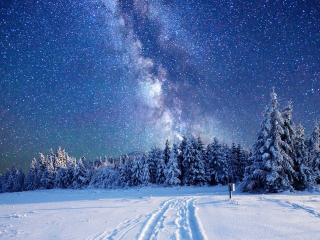 Обои небо, деревья, лес, зима, звезды, млечный путь, the sky, trees, forest, winter, stars, the milky way разрешение 1920x1080 Загрузить