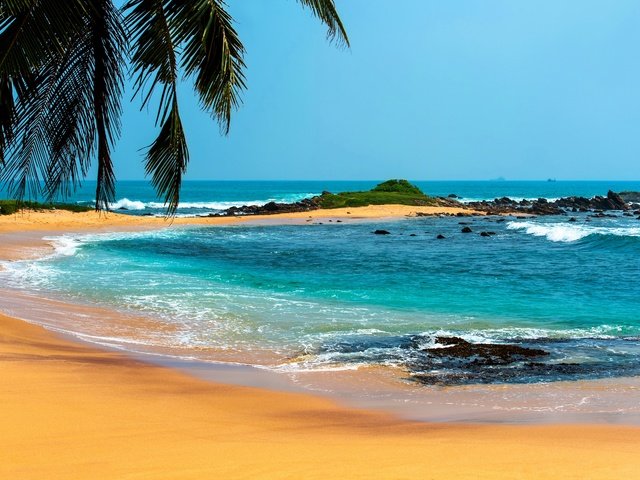 Обои море, пляж, лето, пальмы, отдых, тропики, sea, beach, summer, palm trees, stay, tropics разрешение 4500x2995 Загрузить