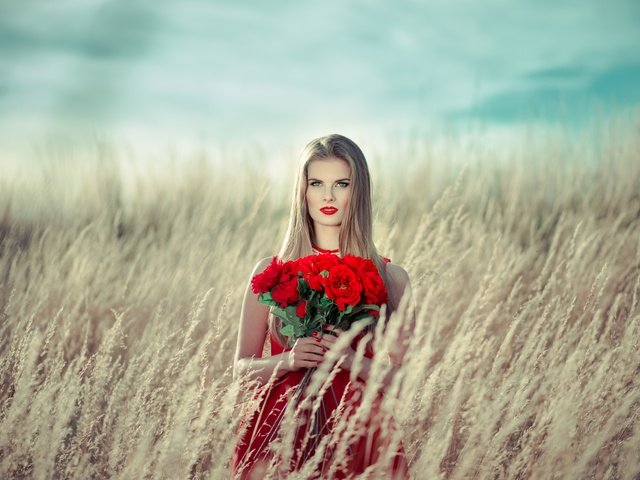 Обои девушка, поле, розы, красные, букет, макияж, girl, field, roses, red, bouquet, makeup разрешение 2500x1673 Загрузить