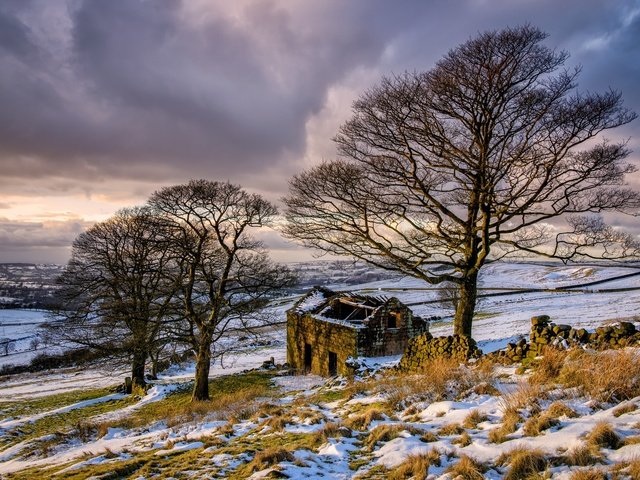 Обои деревья, природа, зима, дом, trees, nature, winter, house разрешение 2048x1367 Загрузить