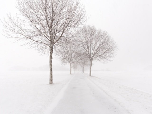 Обои дорога, деревья, снег, зима, метель, road, trees, snow, winter, blizzard разрешение 2048x1365 Загрузить