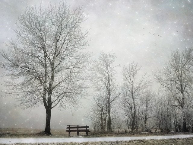 Обои снег, дерево, зима, скамья, snow, tree, winter, bench разрешение 2048x1300 Загрузить