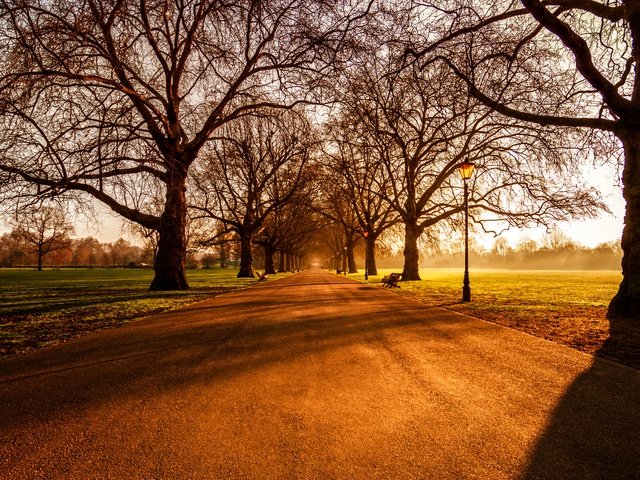 Обои восход, лондон, battersea park, sunrise, london разрешение 5978x3720 Загрузить