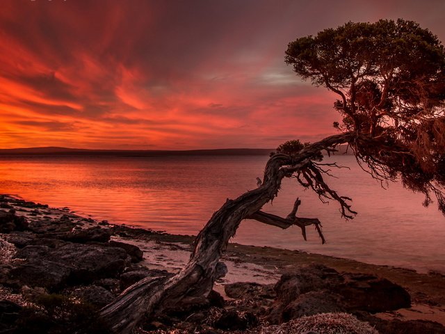 Обои облака, природа, дерево, закат, пейзаж, море, clouds, nature, tree, sunset, landscape, sea разрешение 1920x1080 Загрузить