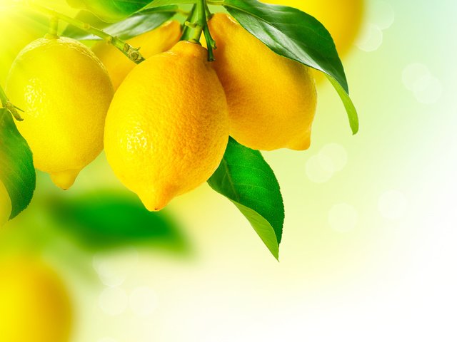 Обои еда, фрукты, лимон, цитрус, лимоны, food, fruit, lemon, citrus, lemons разрешение 6510x4909 Загрузить